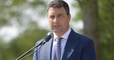 Ministrul Mediului: Nivelul Dunării, în scădere din cauza secetei prelungite