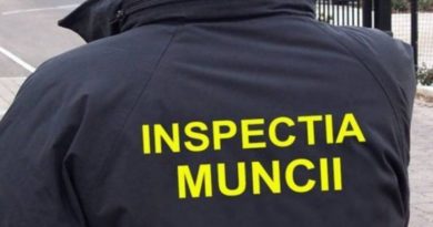 13 angajați la negru depistați de inspectorii ITM Suceava în timpul controalelor din ultima lună